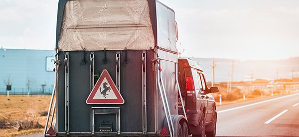 Location de camion de transport de cheval à Frejus